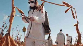 Monsanto wygrywa proces