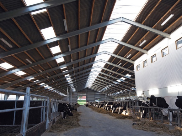 Szkodliwy i kosztowny hałas BIZNES, Gospodarka - Powszechnym problemem przy hodowli zwierząt jest kwestia nadmiernego hałasu, który jest przyczyną wielu chorób związanych z wywoływaniem stresu u chowu.