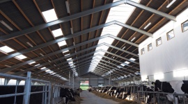 Szkodliwy i kosztowny hałas