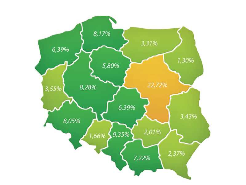 Raport: leasing samochodów w polskich firmach