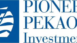 Pioneer: sprzedaż rośnie z miesiąca na miesiąc