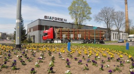 Japoński sęk BIZNES, Gospodarka - Biaform, białostocki producent sklejki, pozyskał niedawno partnera z Japonii. Za sukcesem stoi... elektroniczny tłumacz
