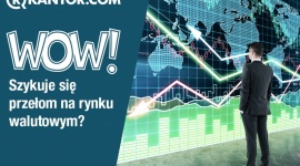 Nowa usługa WOW ? czy to będzie przełom na rynku walutowym? BIZNES, Finanse - Nie masz teraz środków w Portfelu, a chcesz wymienić walutę po aktualnie dostępnym kursie? Skorzystaj z wymiany z odroczoną wpłatą (WOW) ? nowej usługi w ofercie Rkantor.com!