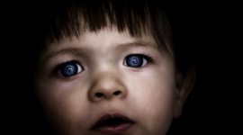 Ziemie Odzyskane nie płacą alimentów BIZNES, Gospodarka - Długi alimentacyjne sięgają 11,15 mld zł. To równowartość połowy rocznych wydatków na program Rodzina 500 plus. Najgorszymi rodzicami są mieszkańcy Ziem Odzyskanych - odsetek dłużników alimentacyjnych jest 2 razy wyższy niż na Podkarpaciu i Małopolsce.