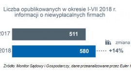 Niska rentowność wciąż palącym problemem polskich firm