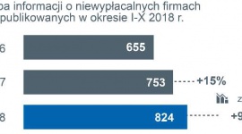 Lawina niewypłacalności polskich firm produkcyjnych i budowlanych BIZNES, Gospodarka - Problemy strukturalne ? niska rentowność główną przyczyną niewypłacalności
