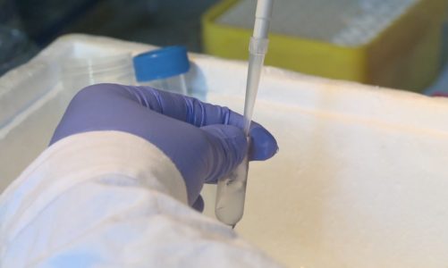 [DEPESZA] Coraz bardziej zaawansowane prace nad szczepionką na SARS-CoV-2. W wyścig z czasem włączyli się także Polacy