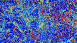 Satelity pokazują, że Europa jest sucha jak wiór BIZNES, Gospodarka - W dużej części Europy ostatnie miesiące są jednymi z najbardziej suchych w historii pomiarów opadów.