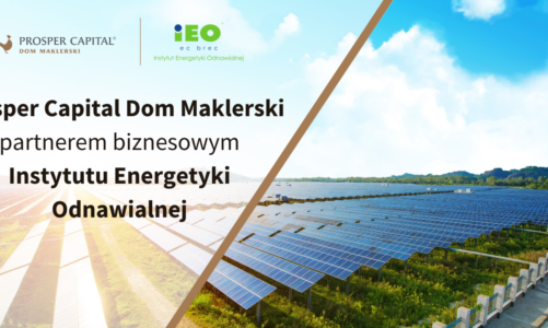 Lokowanie kapitału w sektorze odnawialnych źródeł energii