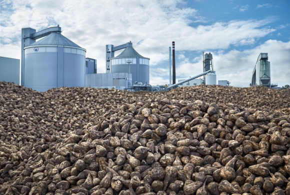 Przemysł spożywczy, BIZNES - Styczeń, jak co roku kończy w cukrowniach grupy Pfeifer & Langen w Polsce kampanię buraczaną, czyli proces przerobu buraków cukrowych pochodzących z polskich pól., Podsumowanie kampanii buraczanej w cukrowniach Pfaifer & Langen w Polsce Przemysł spożywczy, BIZNES - Styczeń, jak co roku kończy w cukrowniach grupy Pfeifer & Langen w Polsce kampanię buraczaną, czyli proces przerobu buraków cukrowych pochodzących z polskich pól.