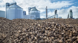 Podsumowanie kampanii buraczanej w cukrowniach Pfaifer & Langen w Polsce Przemysł spożywczy, BIZNES - Styczeń, jak co roku kończy w cukrowniach grupy Pfeifer & Langen w Polsce kampanię buraczaną, czyli proces przerobu buraków cukrowych pochodzących z polskich pól.